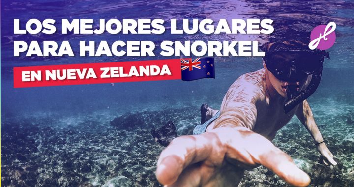 los mejores lugares para hacer snorkel en nz